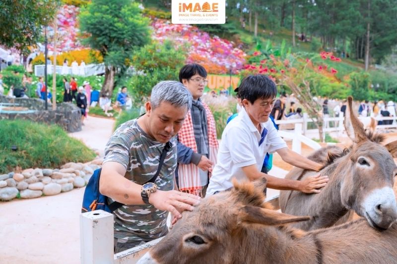 Hoạt Động Vui Chơi Tại Vườn Thú