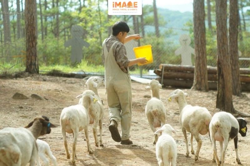 Khám Phá Vườn Thú Tại Đà Lạt