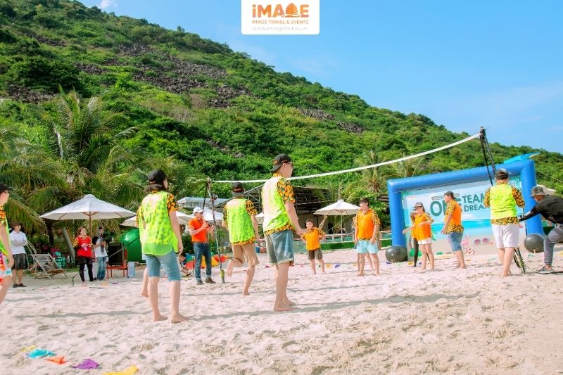 Mice Và Company Trip Khác Nhau Như Thế Nào