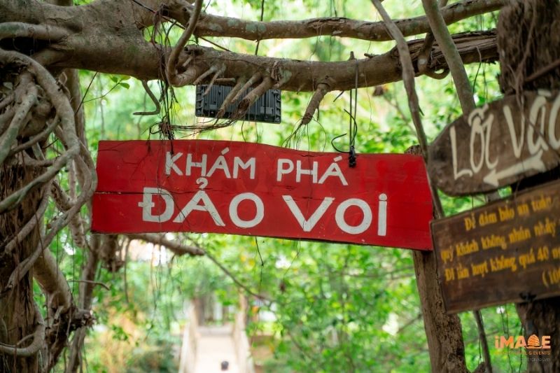 Khám phá đảo Voi