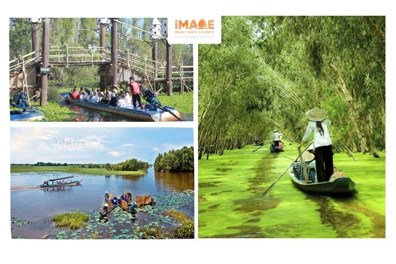 Vườn Quốc Gia Tràm Chim (Đồng Tháp)