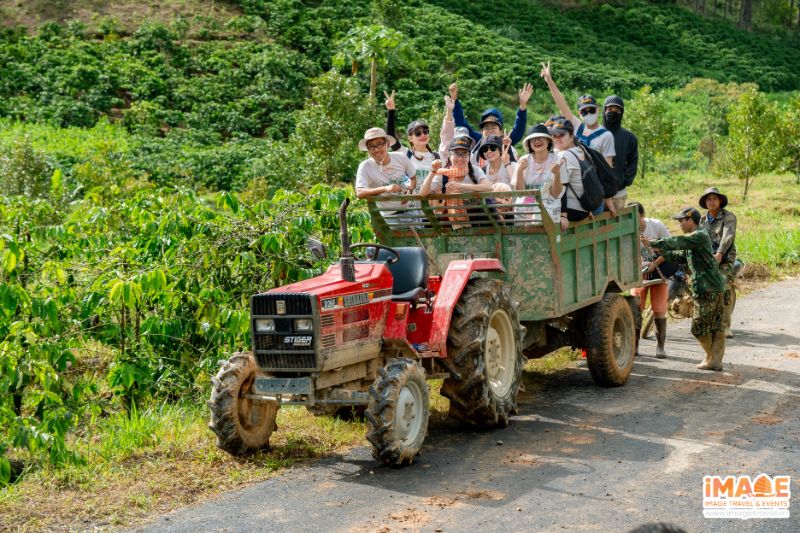 Vì sao Team Building cuối năm là chiến lược gắn kết đắt giá nhất?
