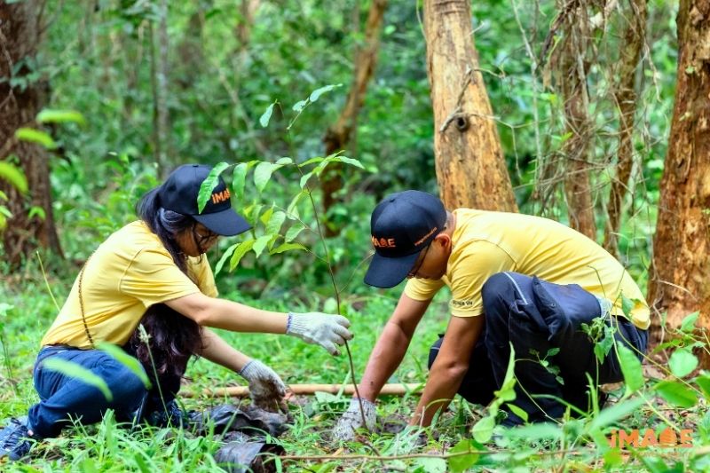 5 LỢI ÍCH KHI DOANH NGHIỆP CHỌN DU LỊCH BỀN VỮNG