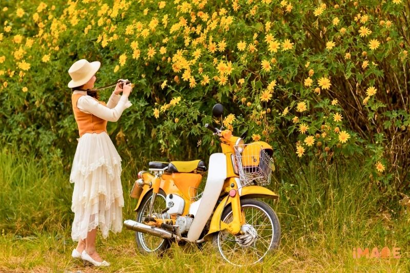 Đừng rời Măng Đen nếu chưa check-in 6 điểm ngắm dã quỳ này!