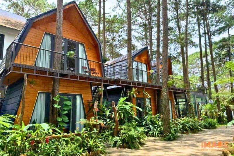 Du lịch Măng Đen: Top những homestay và resort được yêu thích nhất