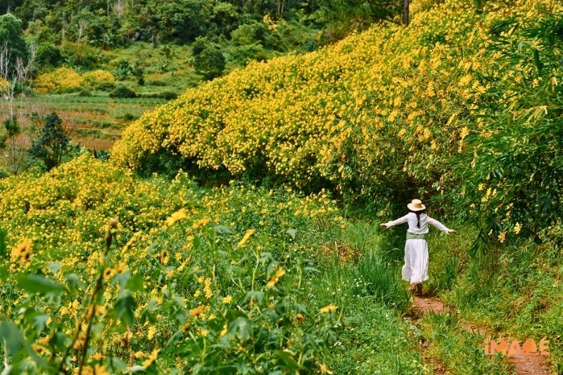 ĐÀ LẠT THÁNG 10 – 11 CÓ GÌ ĐỂ TRẢI NGHIỆM?