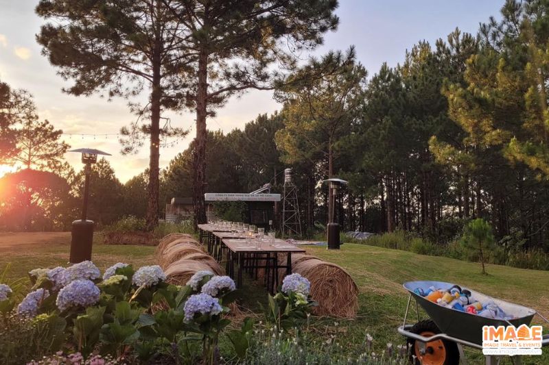 Dalat Blue Mountain Farm – Checklist hoạt động trải nghiệm thú vị