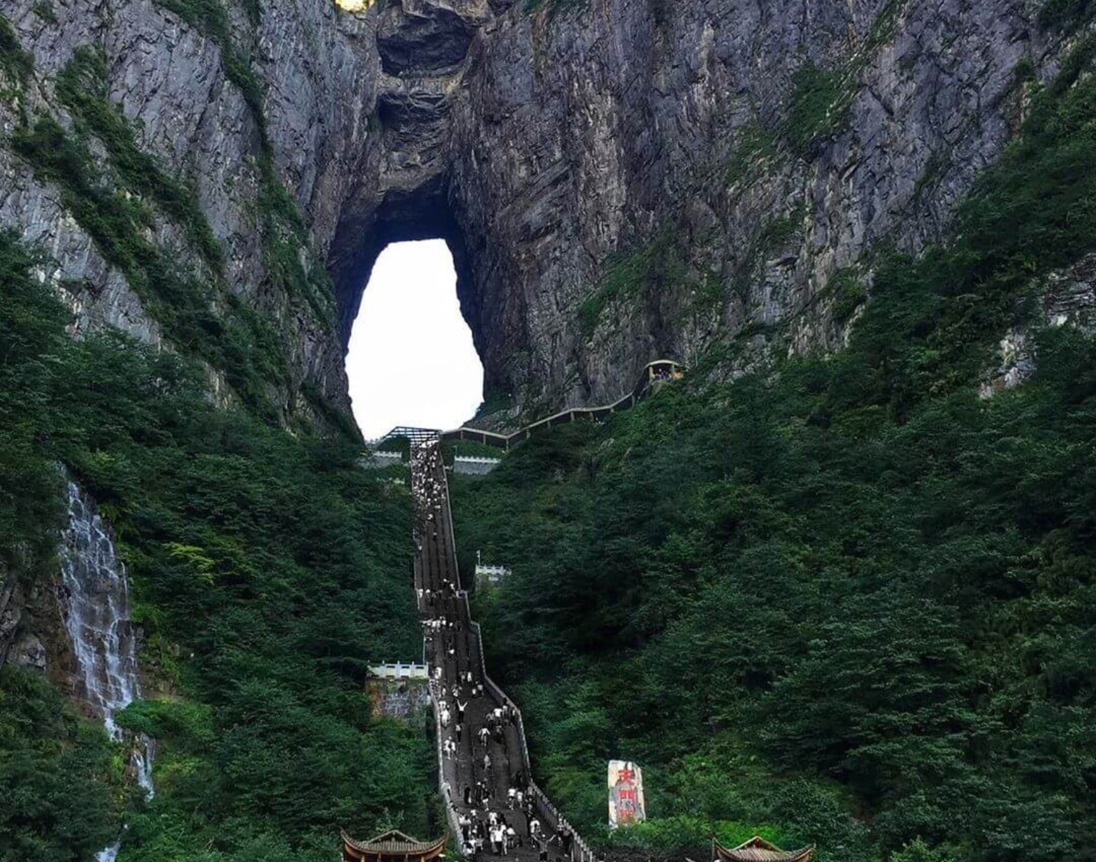 Phuong Hoang Co Tran