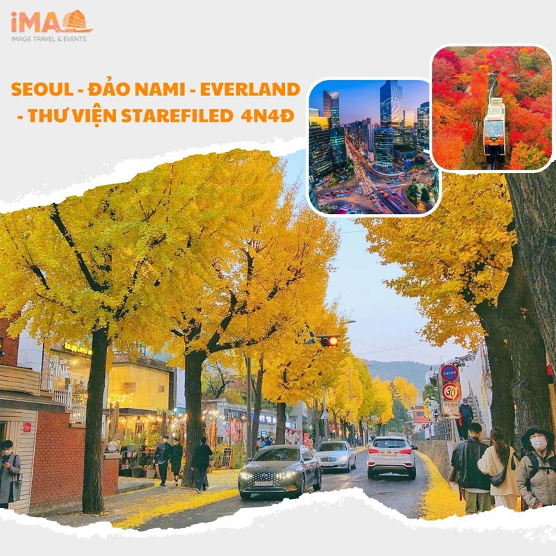 KHÁM PHÁ THIÊN ĐƯỜNG LÁ VÀNG HÀN QUỐC