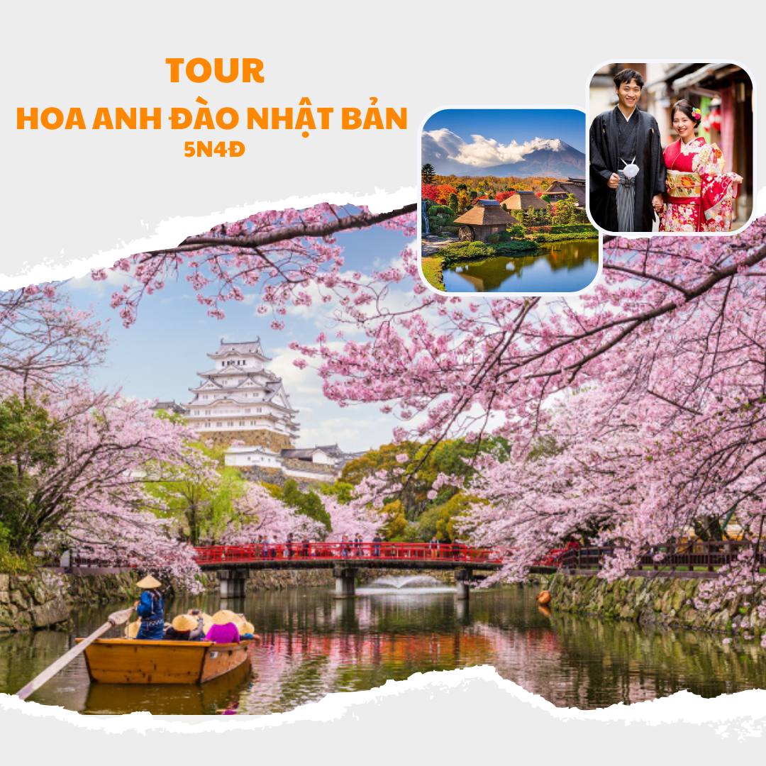 TOUR HOA ANH ĐÀO NHẬT BẢN