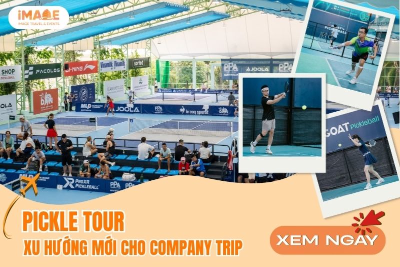 PICKLE TOUR: “LÀN GIÓ MỚI” CHO COMPANY TRIP