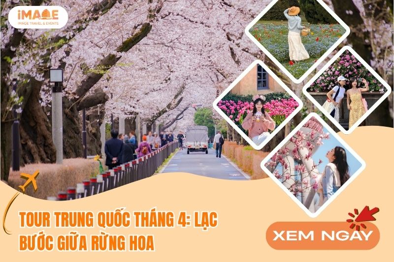 TOUR TRUNG QUỐC THÁNG 4: LẠC BƯỚC GIỮA RỪNG HOA