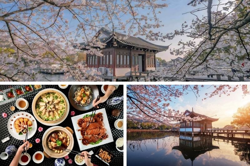 ĐỊA ĐIỂM NGẮM HOA VÀ ẨM THỰC TẠI HÀNG CHÂU TRUNG QUỐC