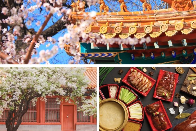 ĐỊA ĐIỂM NGẮM HOA VÀ ẨM THỰC TẠI BẮC KINH TRUNG QUỐC