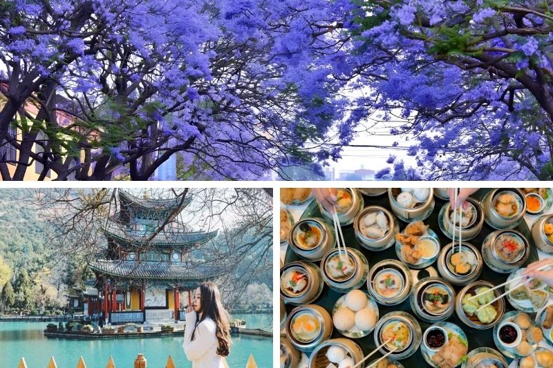 ĐỊA ĐIỂM NGẮM HOA VÀ ẨM THỰC TẠI CÔN MINH TRUNG QUỐC