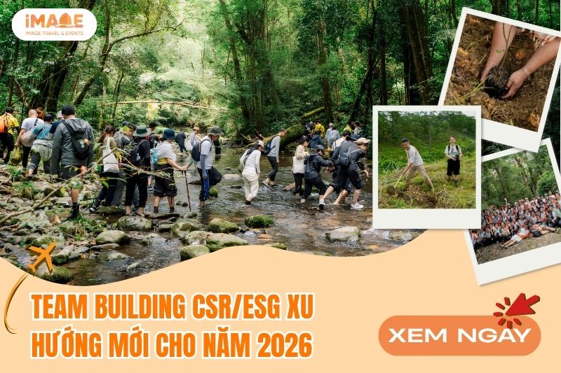 TEAM BUILDING CSR/ESG XU HƯỚNG MỚI CHO NĂM 2026