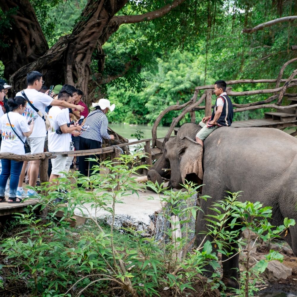 banner-xoay-company-trip-6