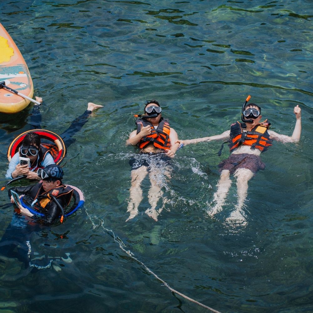 banner-web-company-trip-ima-4