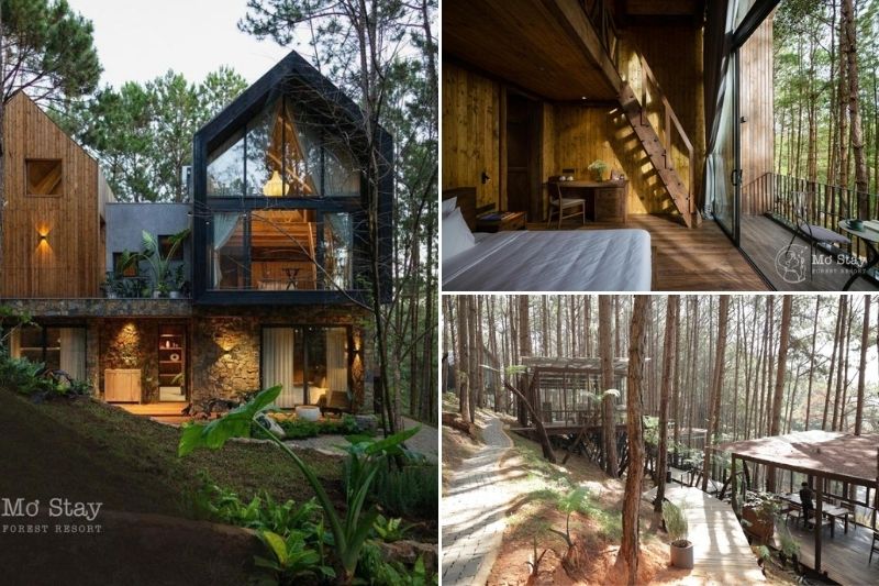 Cảnh quan Mơ Stay - Forest Resort ở Đà Lạt