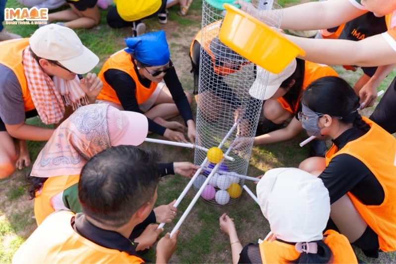 Trò chơi Team Building Phú Quý - Mạng Lưới Sinh Tồn
