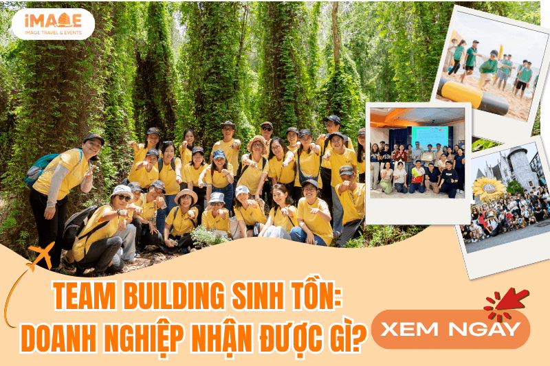 Doanh nghiệp nhận được gì từ một chương trình Team Building Sinh tồn?